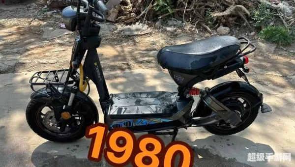 113ds