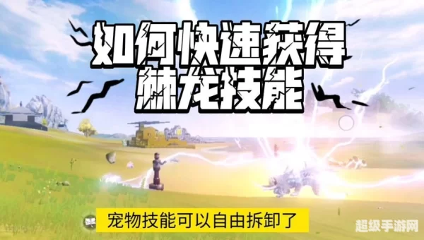 妄想山海怎么捕捉宠物