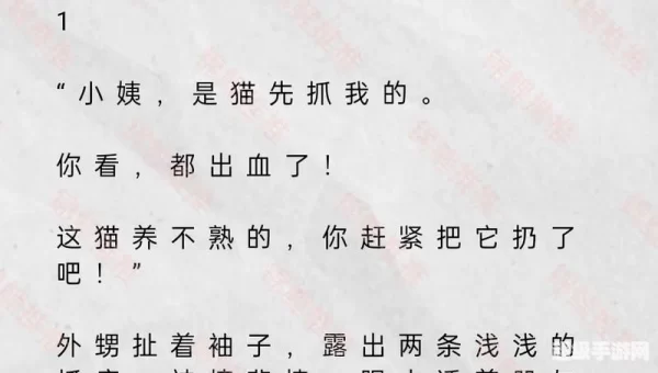 小说搜索