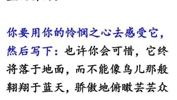 命运的羽毛