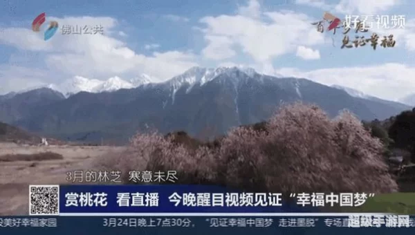 桃花直播免费观看