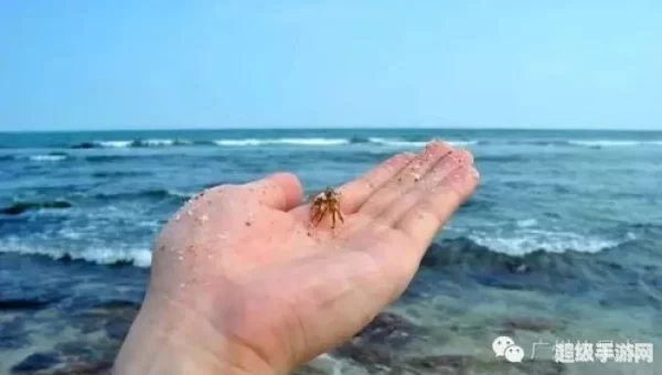 黑海岸哪里坐船
